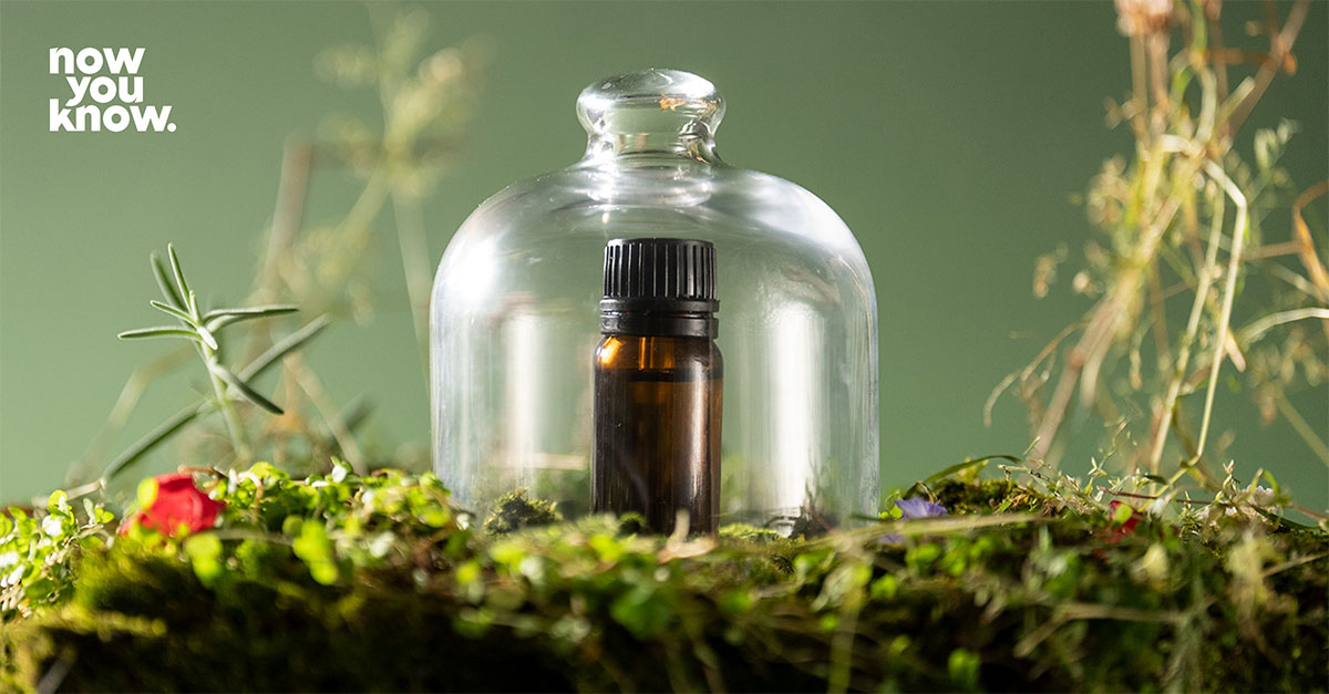 Herbal Medicine Online Best Courses & Classes by NYK